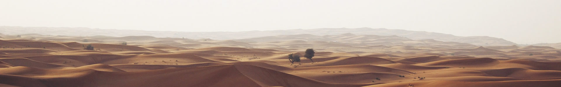 ɽоƼ޹˾
